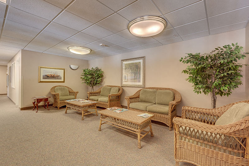 a living room filled with furniture and a tree